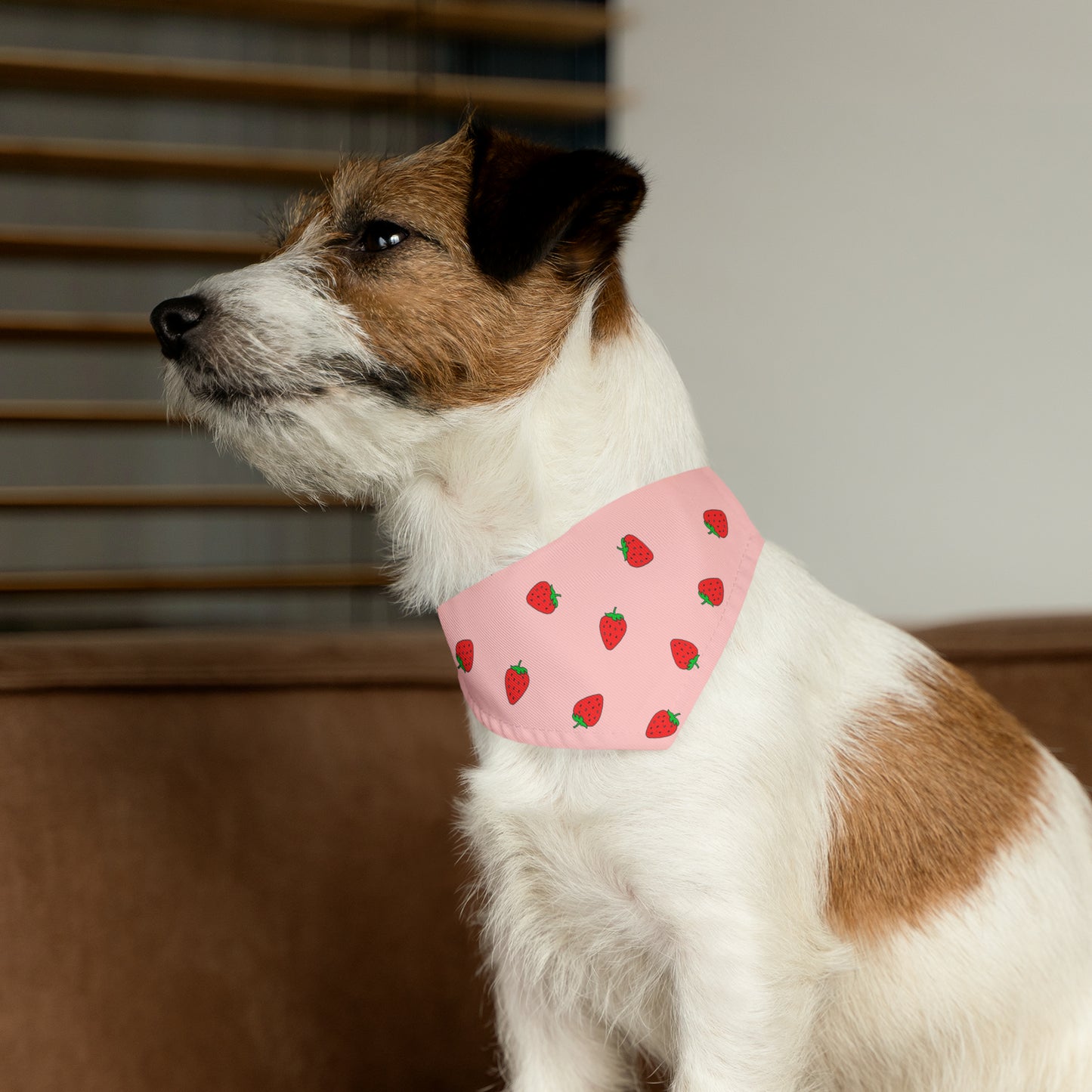 Strawberry Pet Bandana Moon Symbols Collar, kawaii lolita style pink anime pet cosplay, black bandana