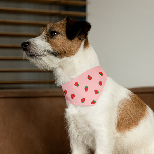 Strawberry Pet Bandana Moon Symbols Collar, kawaii lolita style pink anime pet cosplay, black bandana
