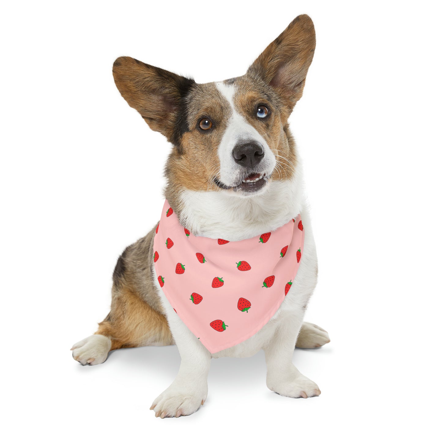 Strawberry Pet Bandana Moon Symbols Collar, kawaii lolita style pink anime pet cosplay, black bandana