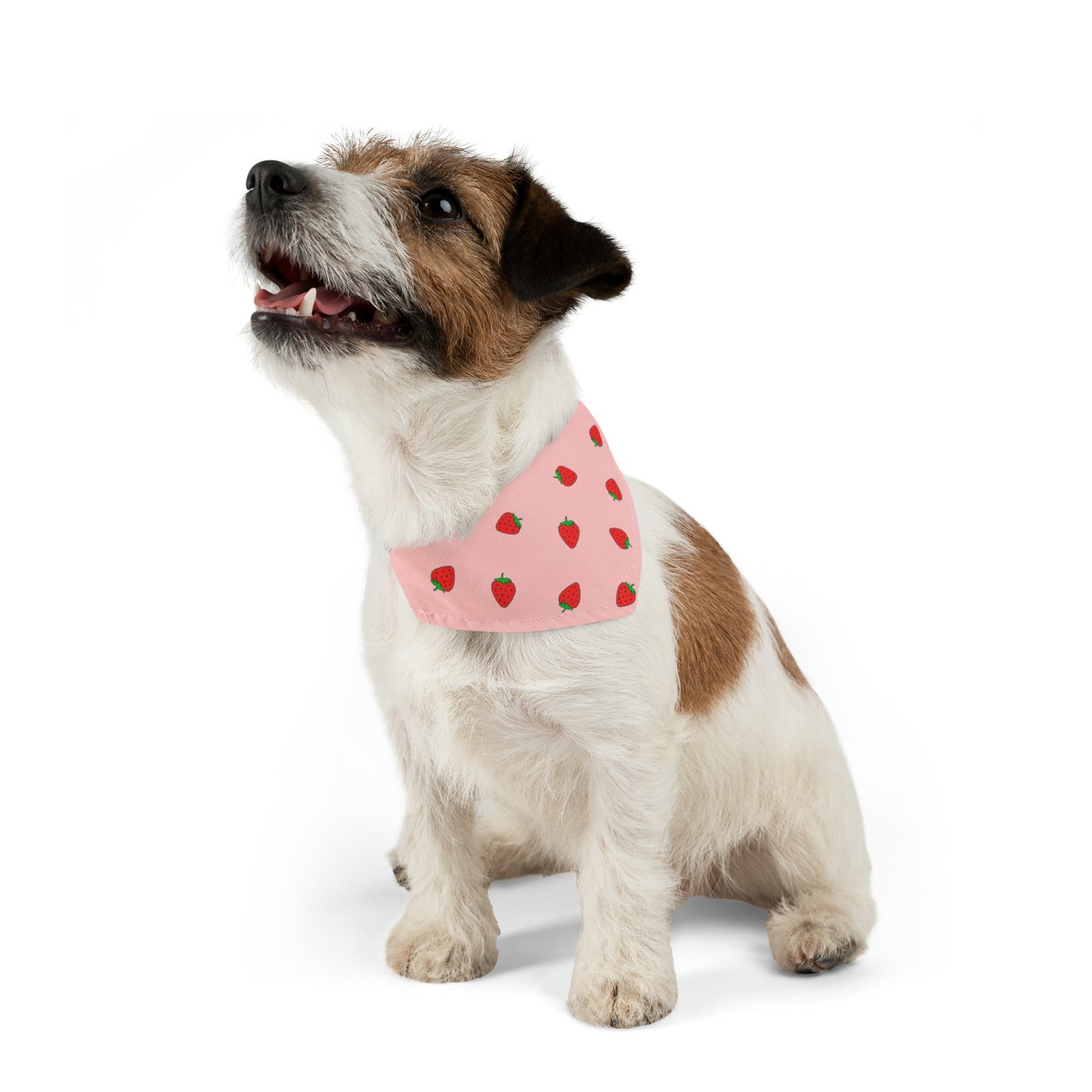 Strawberry Pet Bandana Moon Symbols Collar, kawaii lolita style pink anime pet cosplay, black bandana