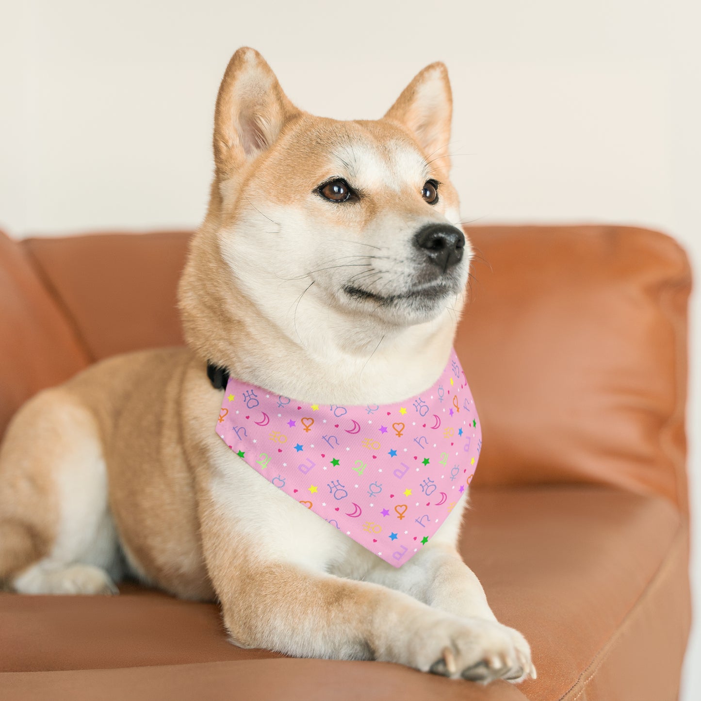 Moon Anime Symbols Pet Bandana Moon Wands Collar, kawaii lolita style pink anime pet cosplay, dog bandana