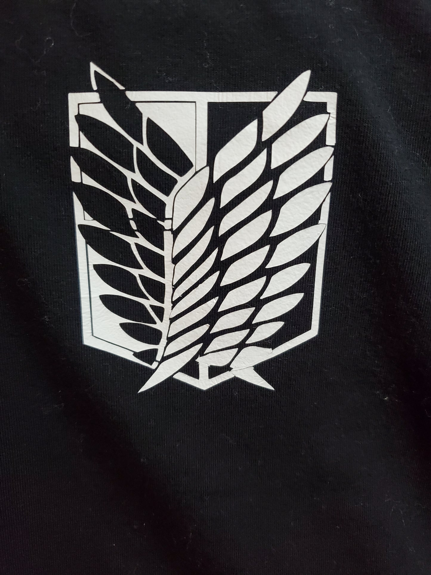 Top corto AOT Arizona